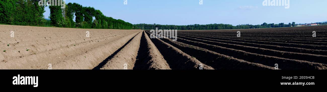 Gut gepflügte Ackerland mit dunkler Erde und blauem Himmel Panorama Stockfoto