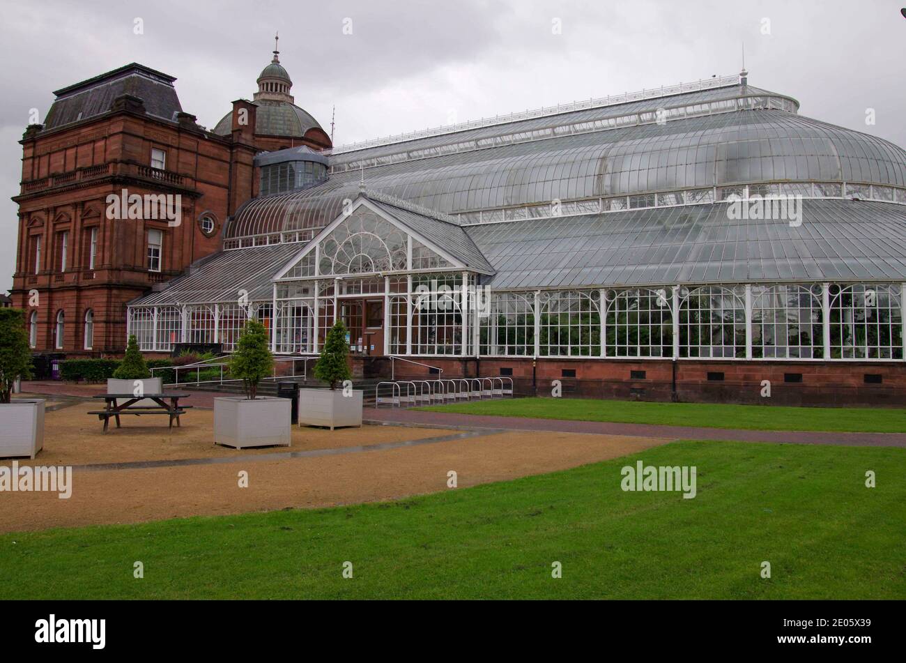 Der Wintergarten im People's Palace Glasgow Stockfoto