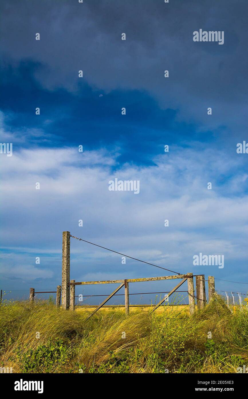 Pampas Landschaft, Argentinien Stockfoto