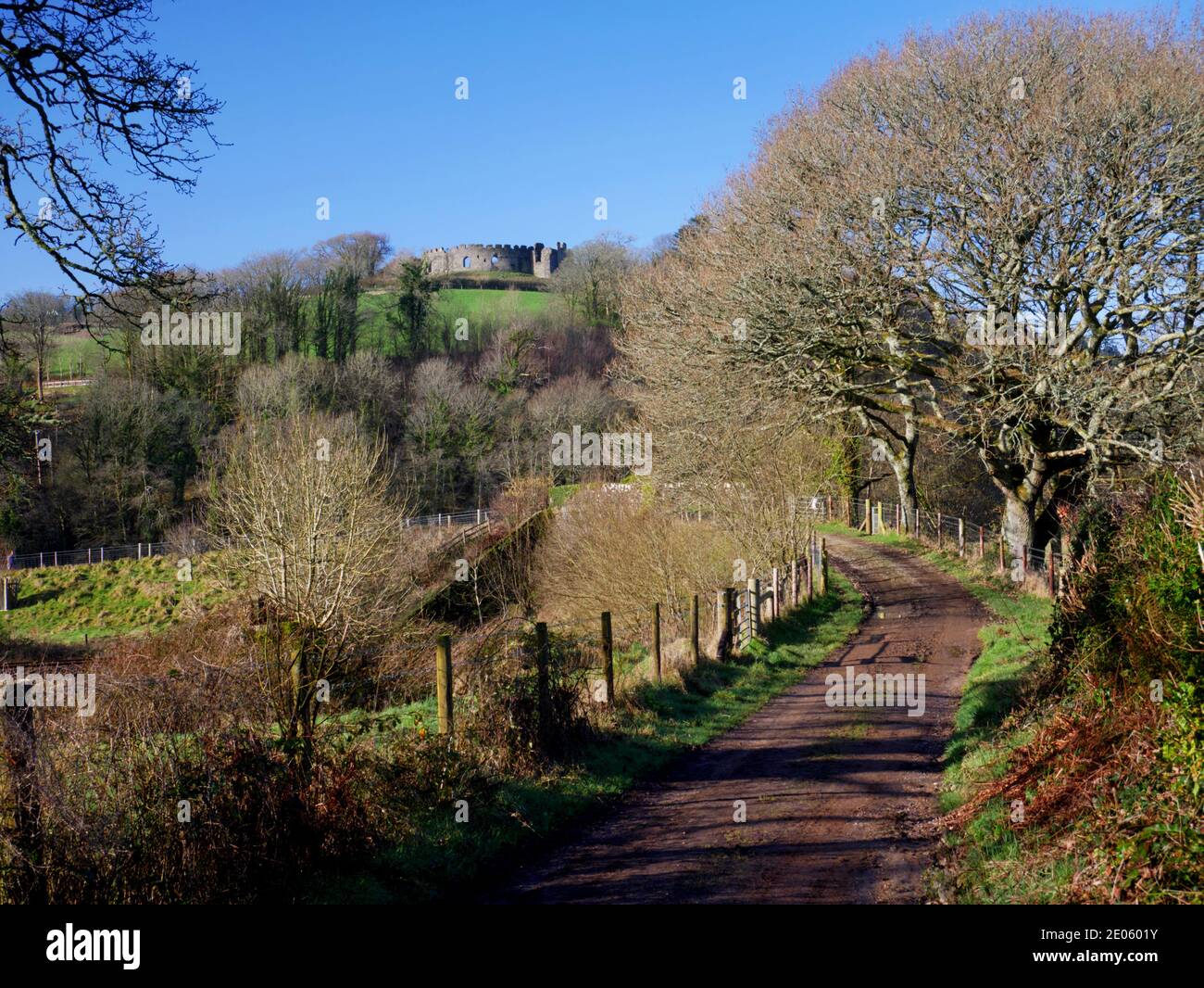 Das Schloss Restormel aus dem 13. Jahrhundert blickt auf die Landschaft des Fowey-Tals in der Nähe von Lostwithiel in Cornwall. Stockfoto