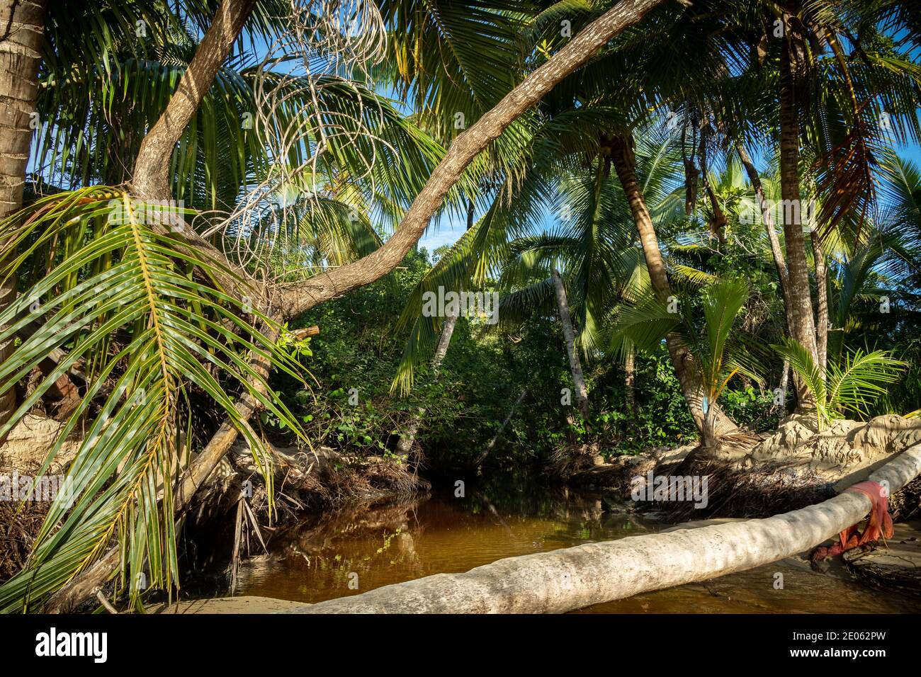 Ein kleiner Fluss endet in Playa Bonita, Dominikanische Republik Stockfoto