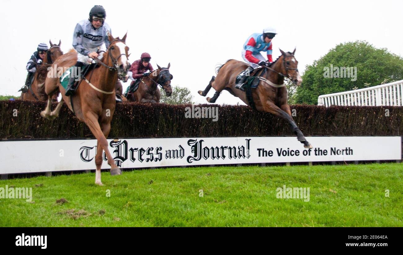 Jockeys mit ihren Pferden in Aktion Springen über den Rennbahn Zaun während der 2008 Gold Cup Steeplechase Veranstaltung auf Scone Palace Park Racecourse in der Nähe von Perth in Schottland, Großbritannien Stockfoto