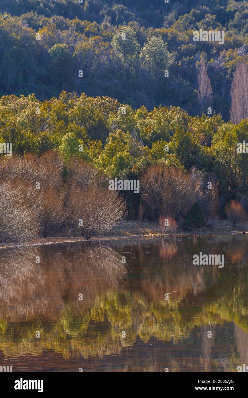 Herbstbäume spiegeln sich im Wasser im Los Alerces Nationalpark, Patagonien, Argentinien Stockfoto