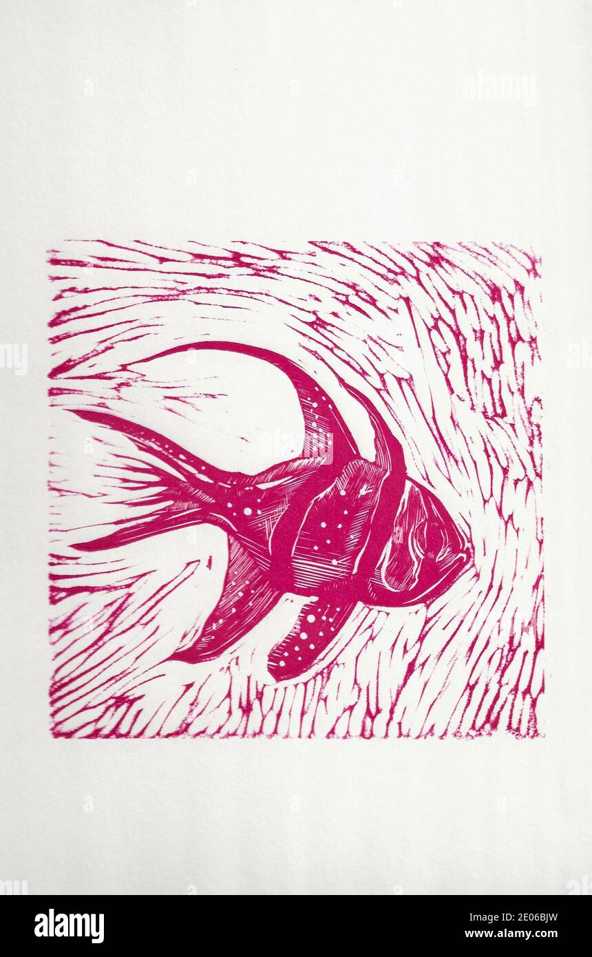 Eine Linolschnitt-Illustration eines schönen Fisches in leuchtendem Pink Tinte Stockfoto