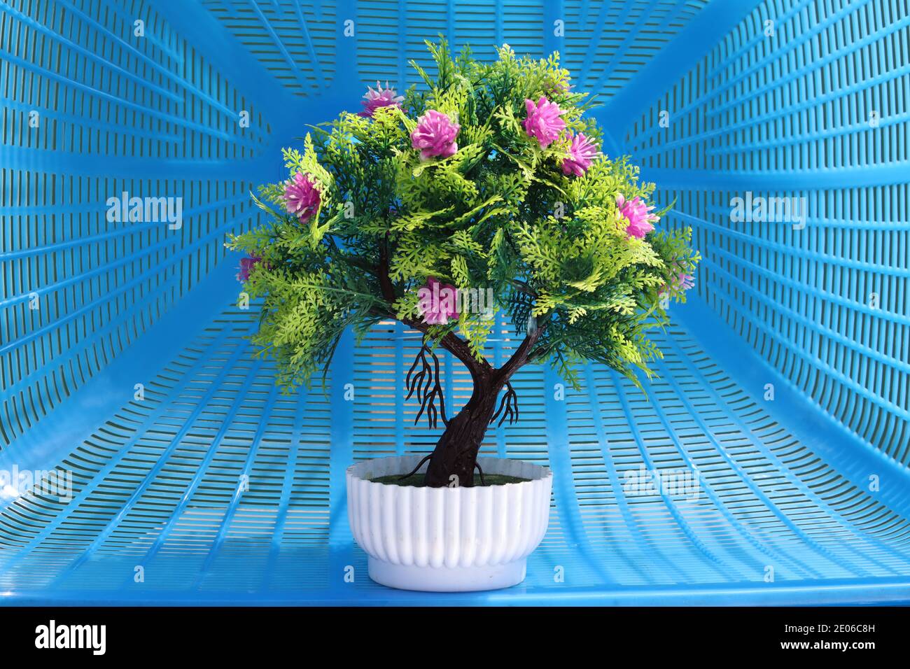Künstlicher Blumenbaum ist im weißen Korb mit blauem Hintergrund. Stockfoto