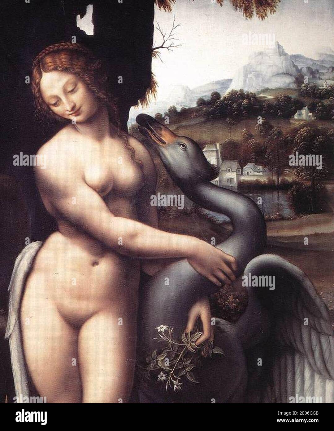 Nach leonardo da vinci, Leda und der Schwan, uffizien, Detail. Stockfoto