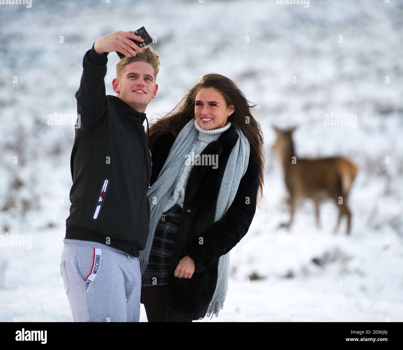 Glencoe, Schottland, Großbritannien. Dezember 2020. Im Bild: Menschen strömen zu Glencoe bewaffnet mit Säcken von Karotten, wie sie die Herde von wilden Hirschen immer näher für das alles wichtige Selfie locken. Seit Schottland in die Phase 4 der Sperre gesetzt wurde, sind Leute gekommen, um die Hirsche zu füttern, die wild im glen herumlaufen, und die Polizei war draußen, um die Massen zu beseitigen, und der ganze Prozess beginnt dann von vorne. Quelle: Colin Fisher/Alamy Live News Stockfoto