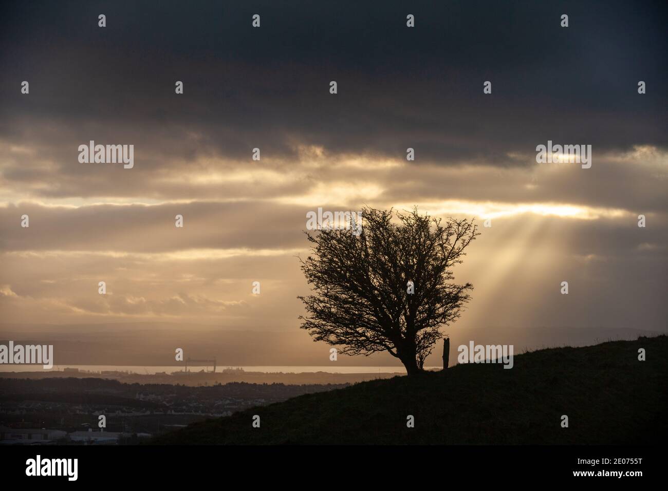 Ein einziger Baum auf dem Hügel von Beath mit Blick auf den Firth of Forth mit einem dramatischen Himmel, Fife, Schottland Stockfoto