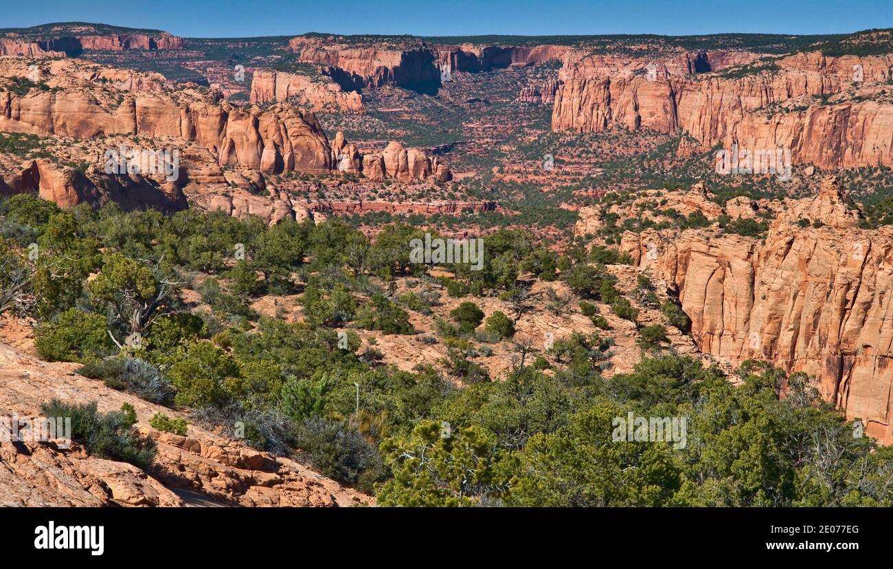 Keet Seel Canyon in Skeleton Mesa, Keet Seel Ruinen sind in weiter Ferne, nicht sichtbar, Navajo National Monument, Shonto Plateau, Arizona, USA Stockfoto