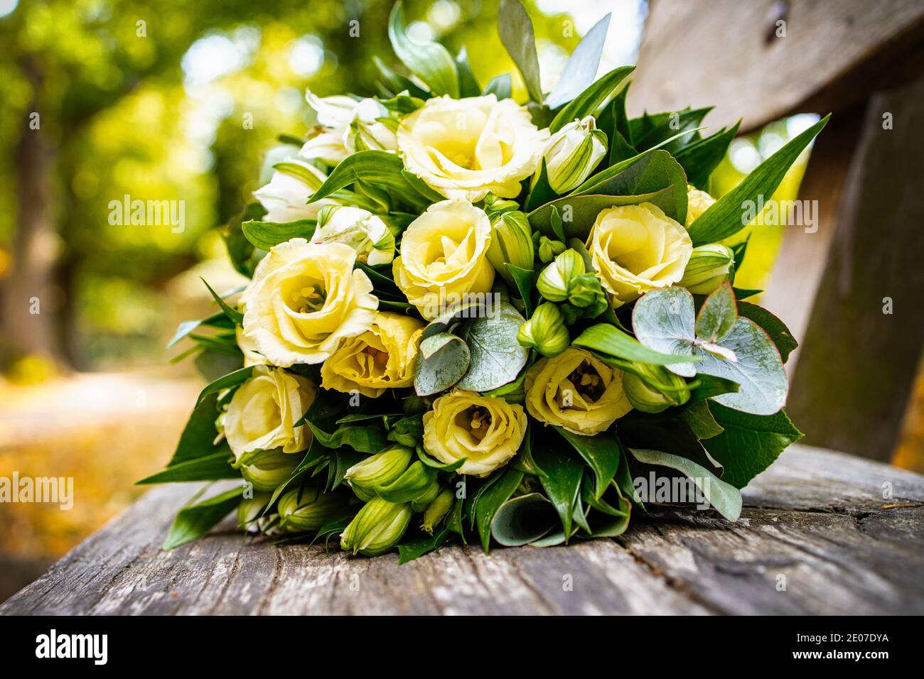 gelber Rosenstrauß Hochzeitsstrauß auf Holzbank Stockfoto
