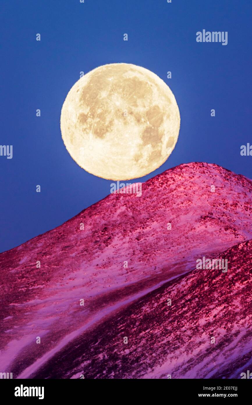 Voller kalter Mond, der bei Sonnenaufgang über Mt. Shavano; 14,229'; Sawatch Range; Rocky Mountains; Salida; Colorado; USA Stockfoto