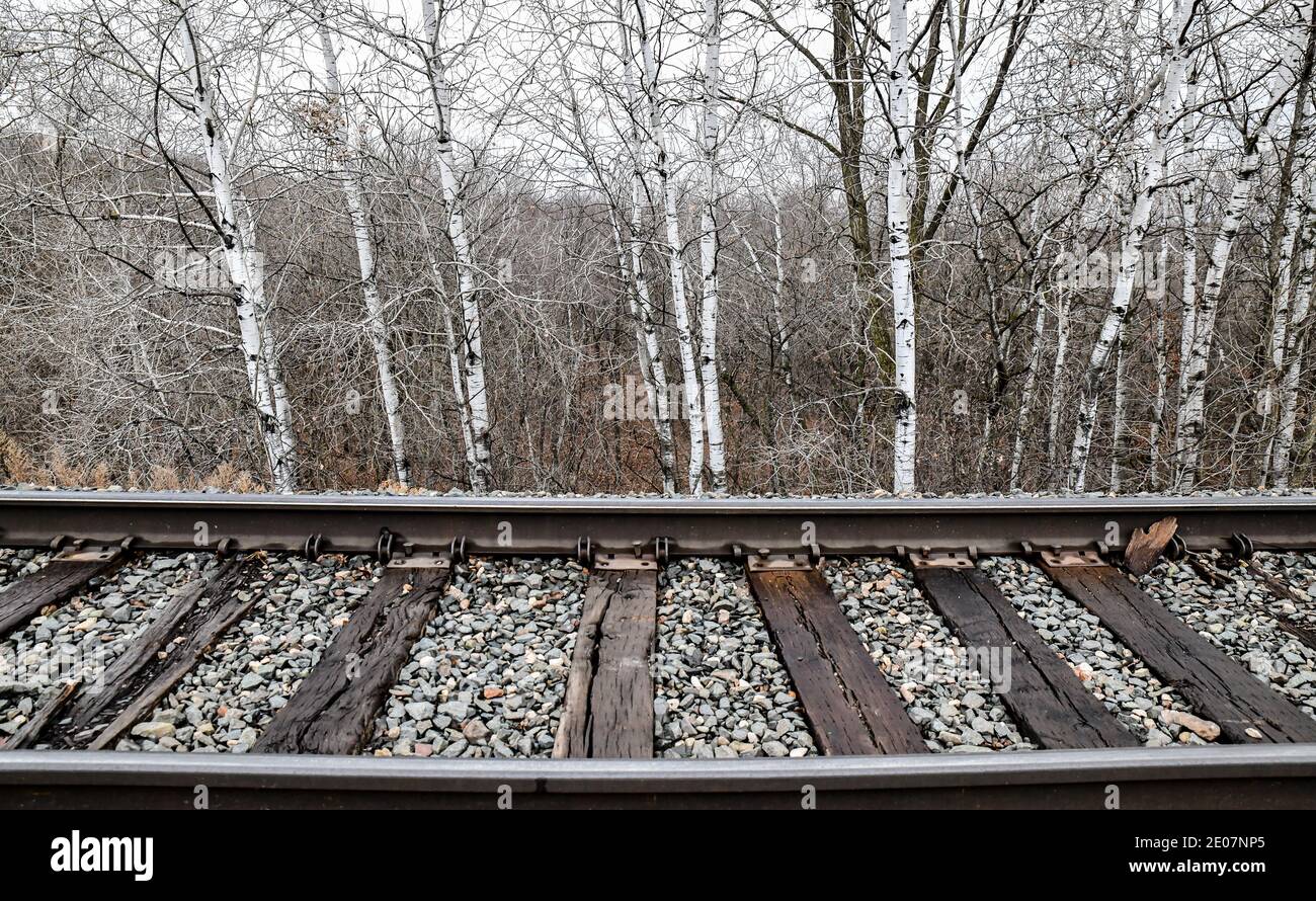 Blick auf leere Stahl Eisenbahnschienen Stockfoto