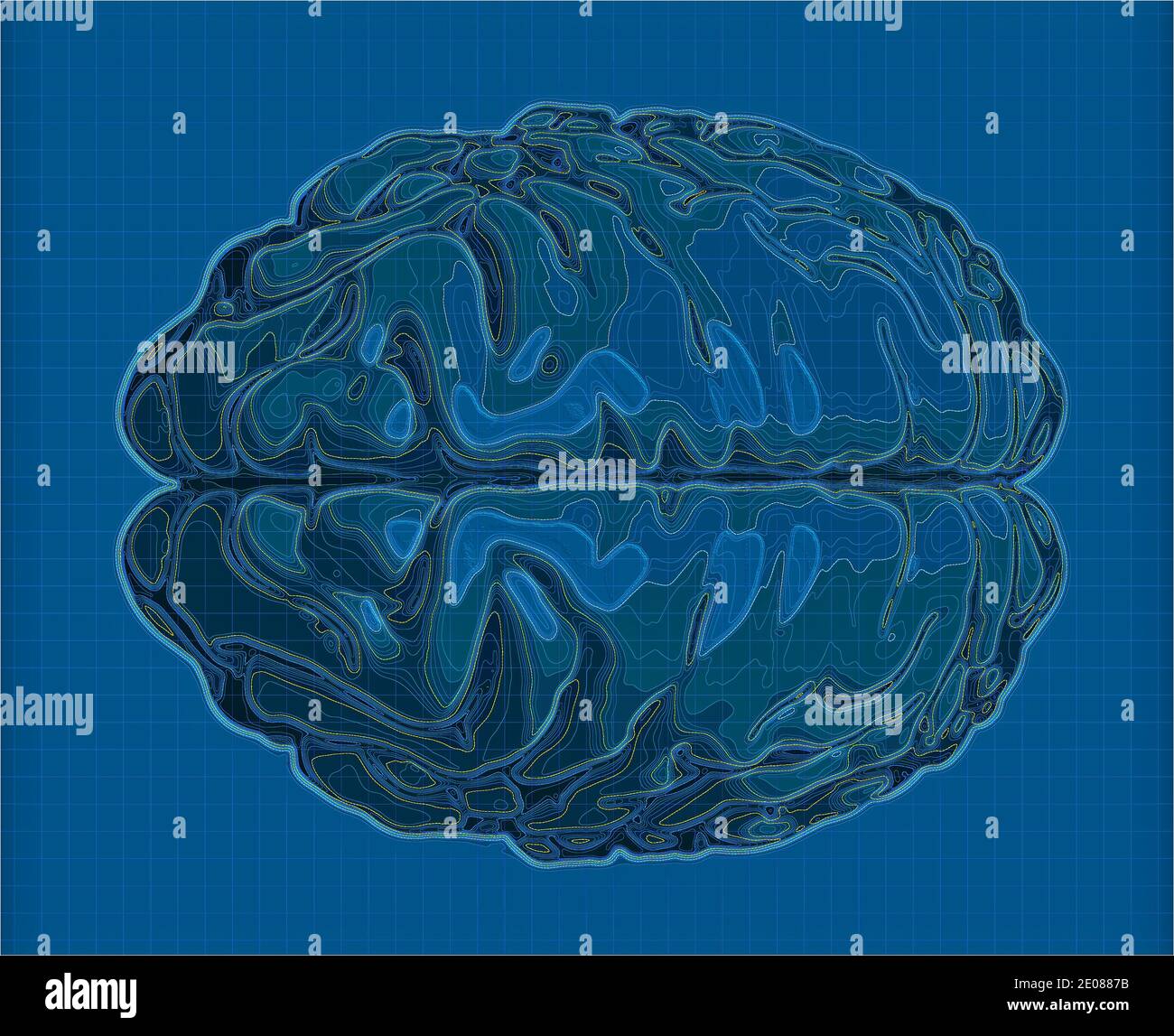 Geographische Karte des Gehirns, Überarbeitung des menschlichen Gehirns in Form einer Karte. Konzept. CT-Scan. 3d-Rendering. Höhen und Orographie, Bergrelief Stockfoto