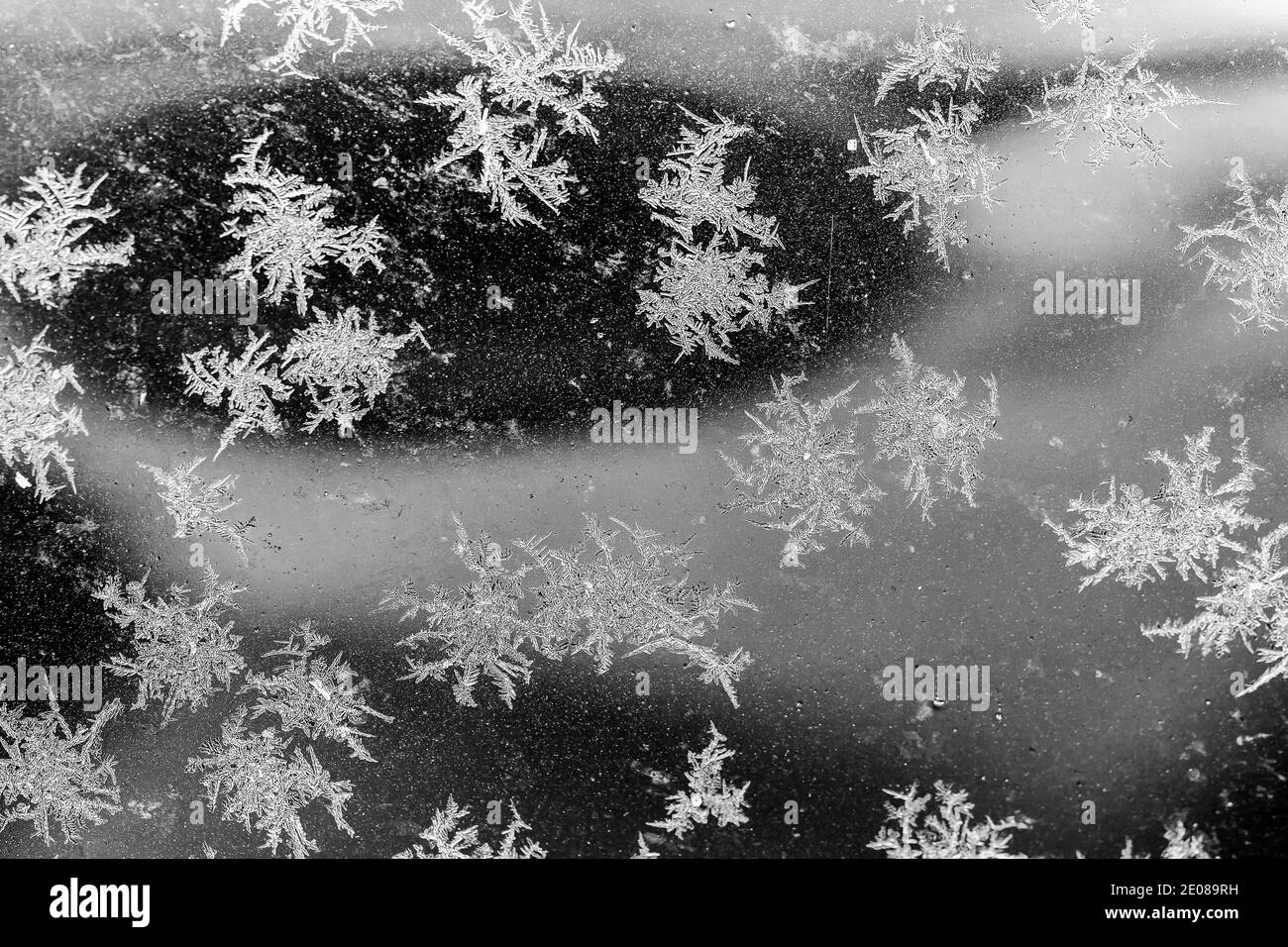 Nahaufnahme von mattierten Eisflocken auf dem Autofenster in Winter Stockfoto