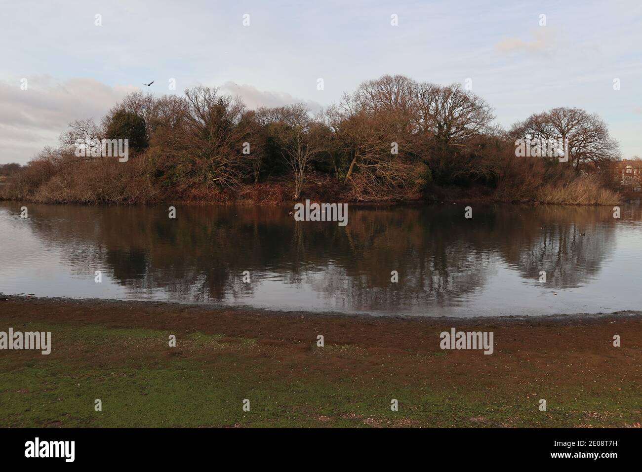 Insel am Alexandra Lake, Wanstead Flats, London Stockfoto