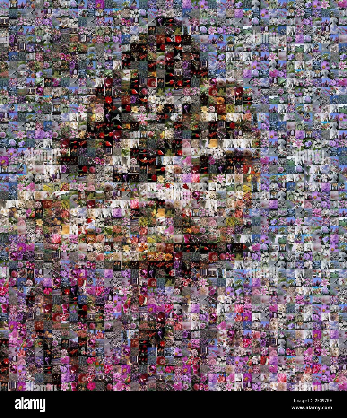 Das Bild eines Schmetterlings, bestehend aus quadratischen Elementen eines kleinen Fotos von Blumen und Schmetterlingen - Farbmosaik, Motte Stockfoto