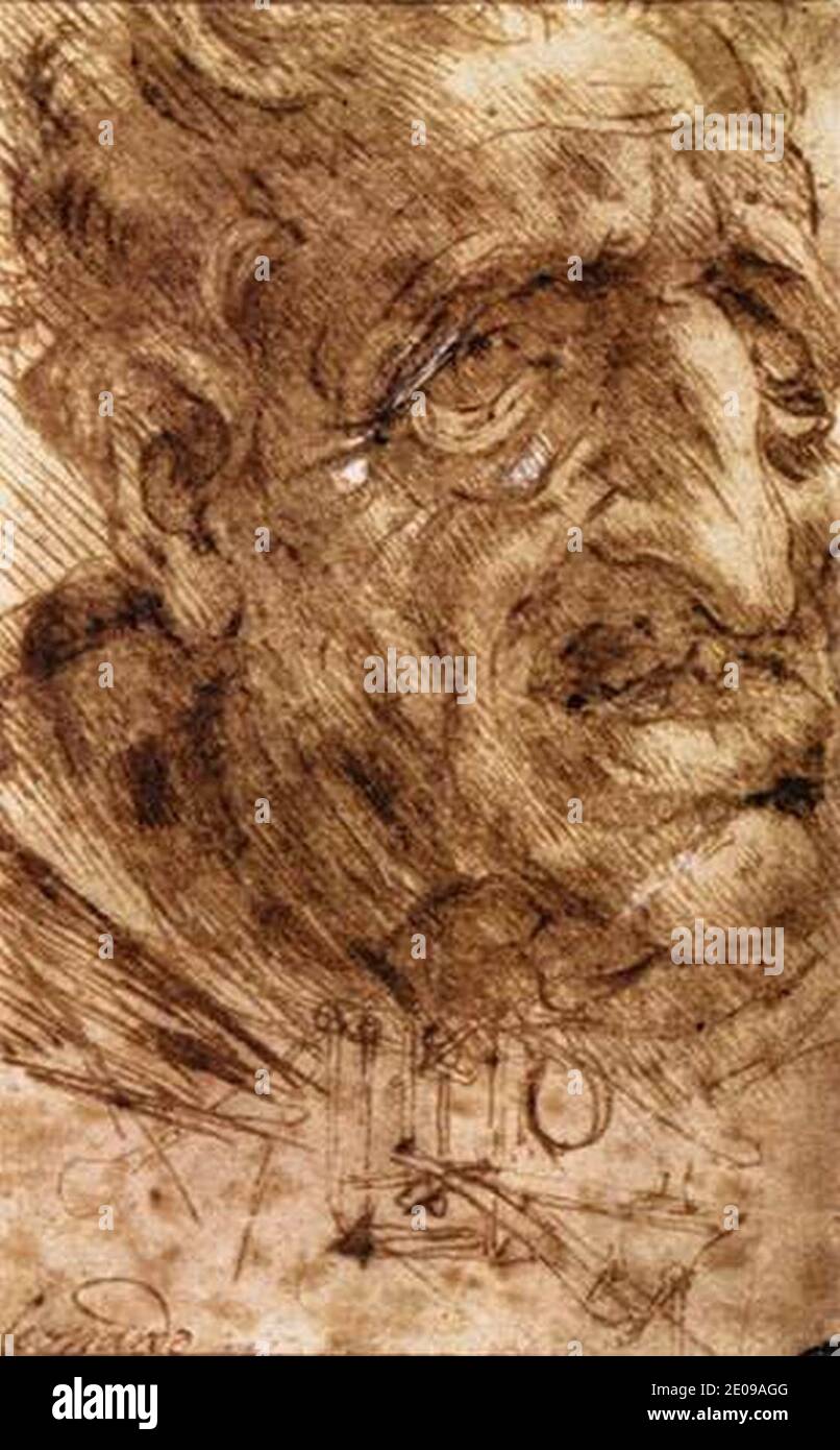 Leonardo da Vinci - Kopf eines alten Mannes Stockfoto