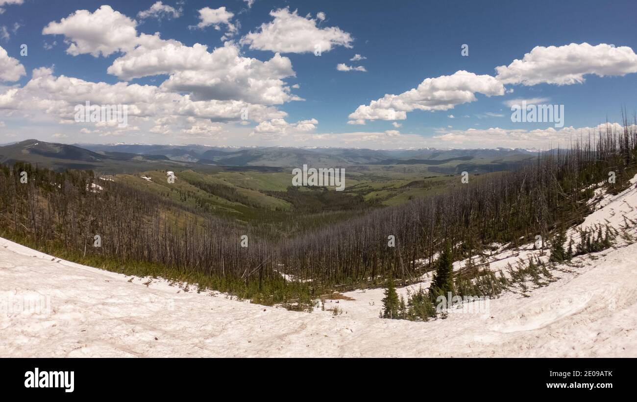 Yellowstone Landschaft Stockfoto