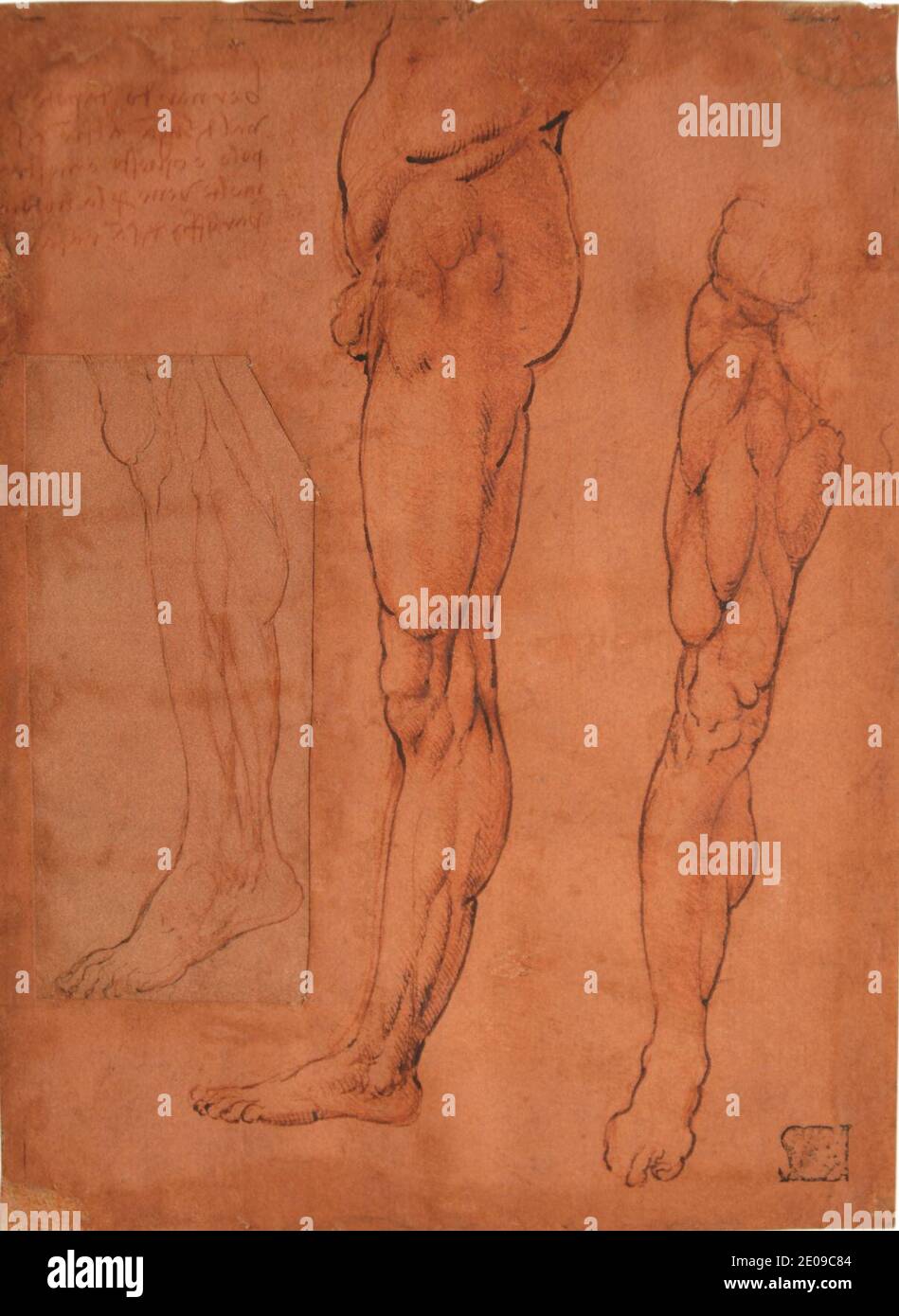 Leonardo da Vinci - Skizzenbuch Leaf Myology of the Lower Extremites of three beines; Autograph Note, 1355. Stockfoto