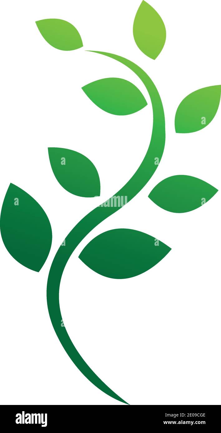 Logos der Grüne Baum Blatt ökologie Natur element Vektor Stock Vektor