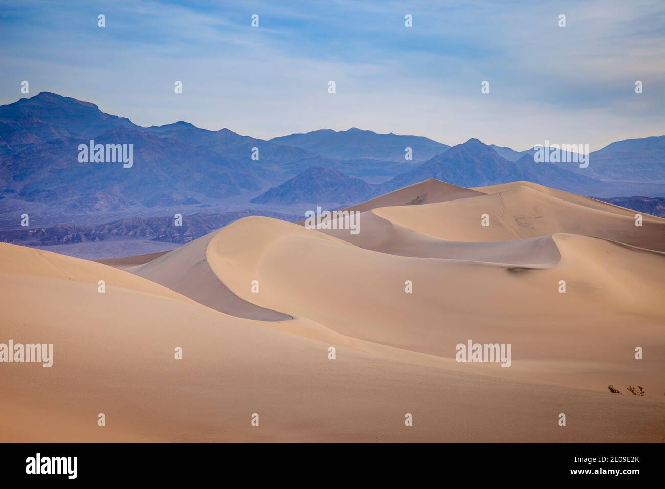 Mesquite Dünen bei Stovepipe Wells, Death Valley Nationalpark, Kalifornien USA Stockfoto