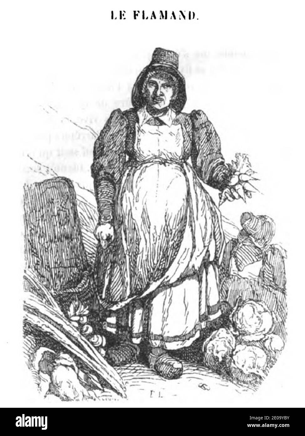 Les Français peints par eux mêmes-paysanne flamande. Stockfoto