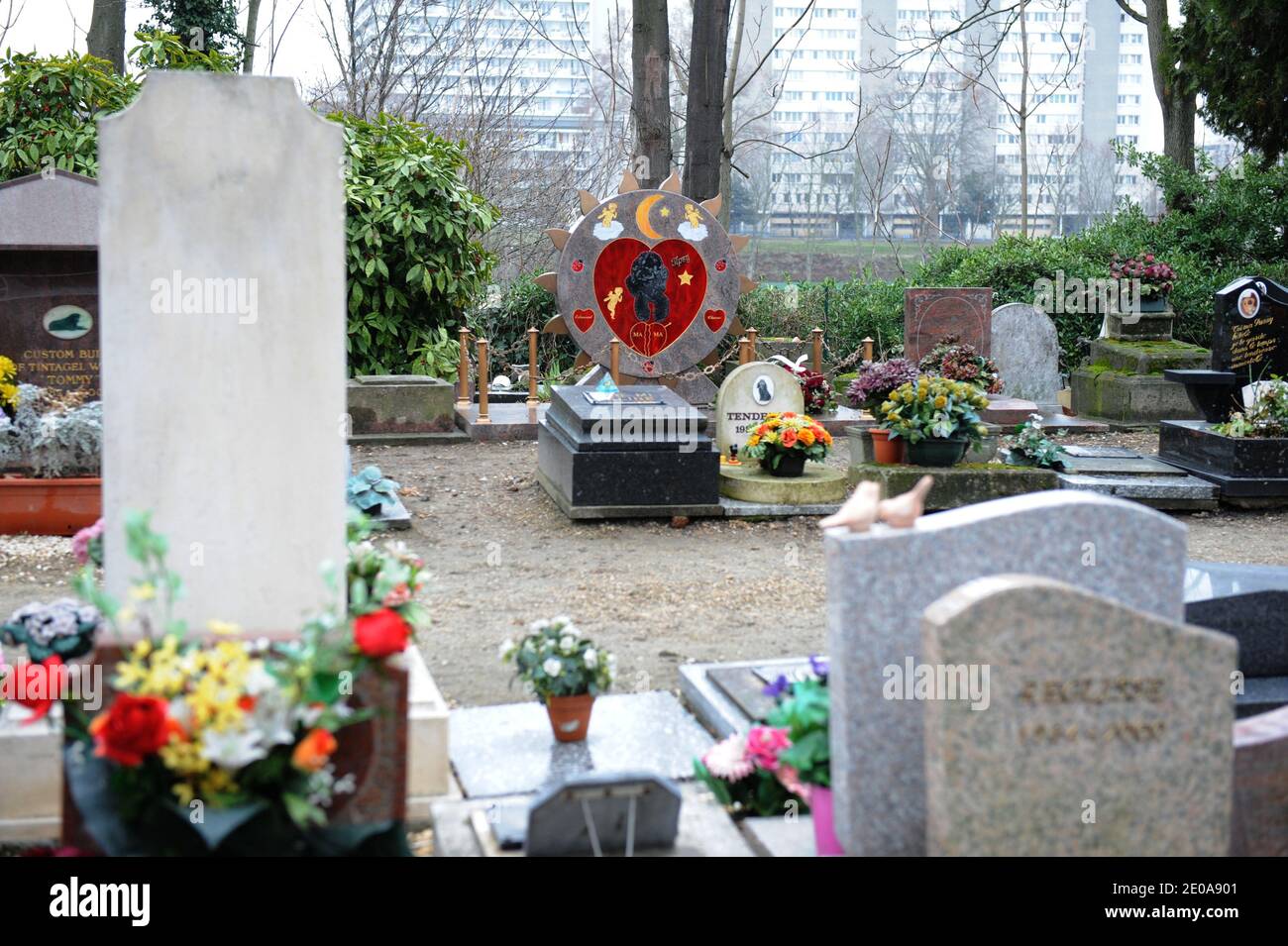 Tombe d'un chien au cimetire pour animaux d'Asnieres pres de Paris, France le 16 Fevrier 2012. La Tombe de Tispy un caniche a ete profanee dans la nuit du 4 au 5 fevrier dans le cimetiere pour animaux d'Asnieres. Les voleurs ont derobe le collier estime a 9000 € qui a ete enterre avec l'animal decede en 2003. Photo Mousse/ABACAPRESS.COM Stockfoto