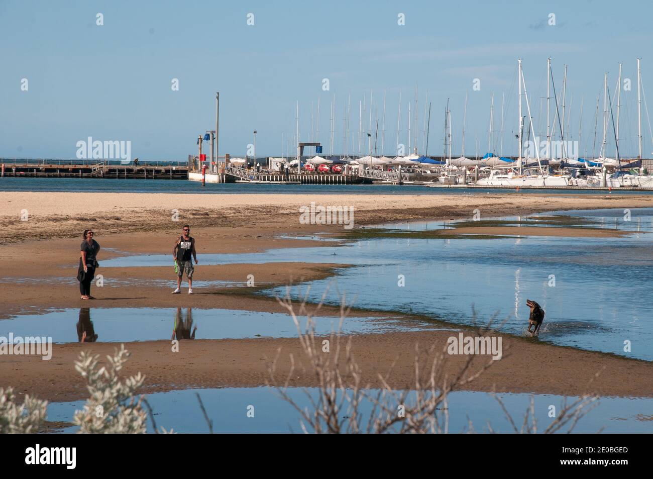 Brighton Marina vom Middle Brighton 'Dog Beach' aus gesehen, Melbourne, Australien Stockfoto
