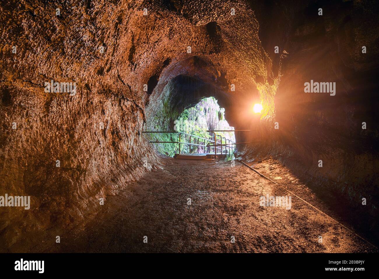 Thurston Lava-Tunnel. Big Island Hawaii Stockfoto