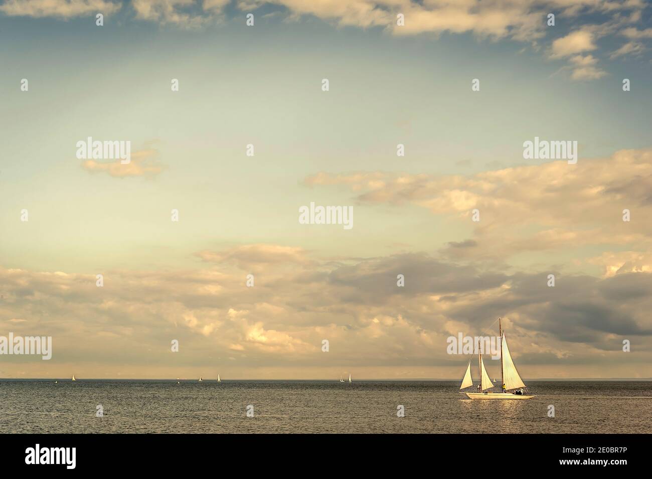 Yachten, Segeln am Lake Ontario Stockfoto