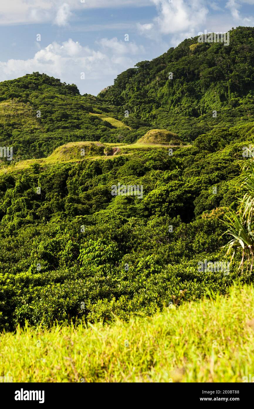 KED Ra Ngchemiangel, Kamyangel Terrassen, einfach 'KED' oder 'Terrasse', Alter von Menschenhand geschaffener terrassenförmiger Hügel, Insel Babeldaob, Palau, Mikronesien, Ozeanien Stockfoto