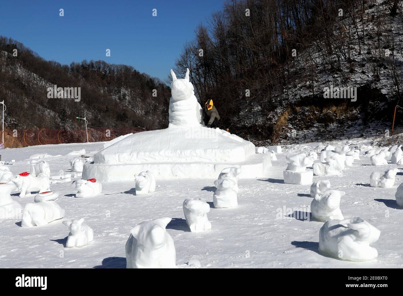 China. Dezember 2020. Henan, CHINA-Mitarbeiter des Skigebiets Funiu Mountain in Luanchuan, Provinz Henan, verbringen zwei Tage, um am 30. Dezember 2020 100 Schneekühe in verschiedenen Formen im Schnee zu bauen, um das Kommen des Jahres 2021 zu begrüßen.Sie hoffen, all das Unglück im Jahr 2020 mit weißem Schnee zu schmelzen und die 2020 zu verlassen, Das neue Jahr ist gekommen, ich glaube, dass alle guten Dinge irgendwann kommen werden.Sie nutzen diese besondere Art, um Segen für das kommende Jahr des Ochsen zu senden, in der Hoffnung, dass alle im neuen Jahr gesegnet werden. Quelle: SIPA Asia/ZUMA Wire/Alamy Live News Stockfoto