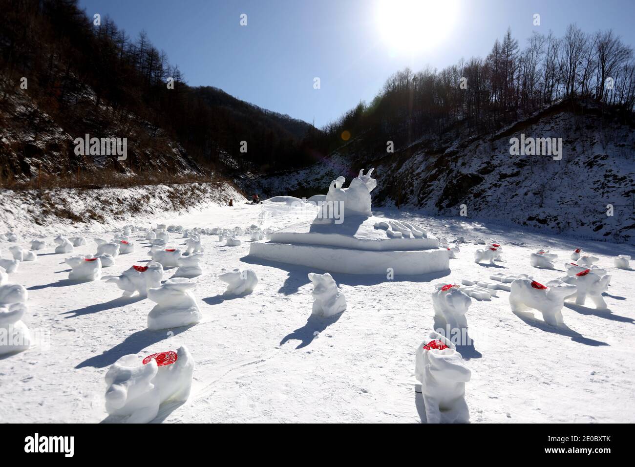 China. Dezember 2020. Henan, CHINA-Mitarbeiter des Skigebiets Funiu Mountain in Luanchuan, Provinz Henan, verbringen zwei Tage, um am 30. Dezember 2020 100 Schneekühe in verschiedenen Formen im Schnee zu bauen, um das Kommen des Jahres 2021 zu begrüßen.Sie hoffen, all das Unglück im Jahr 2020 mit weißem Schnee zu schmelzen und die 2020 zu verlassen, Das neue Jahr ist gekommen, ich glaube, dass alle guten Dinge irgendwann kommen werden.Sie nutzen diese besondere Art, um Segen für das kommende Jahr des Ochsen zu senden, in der Hoffnung, dass alle im neuen Jahr gesegnet werden. Quelle: SIPA Asia/ZUMA Wire/Alamy Live News Stockfoto