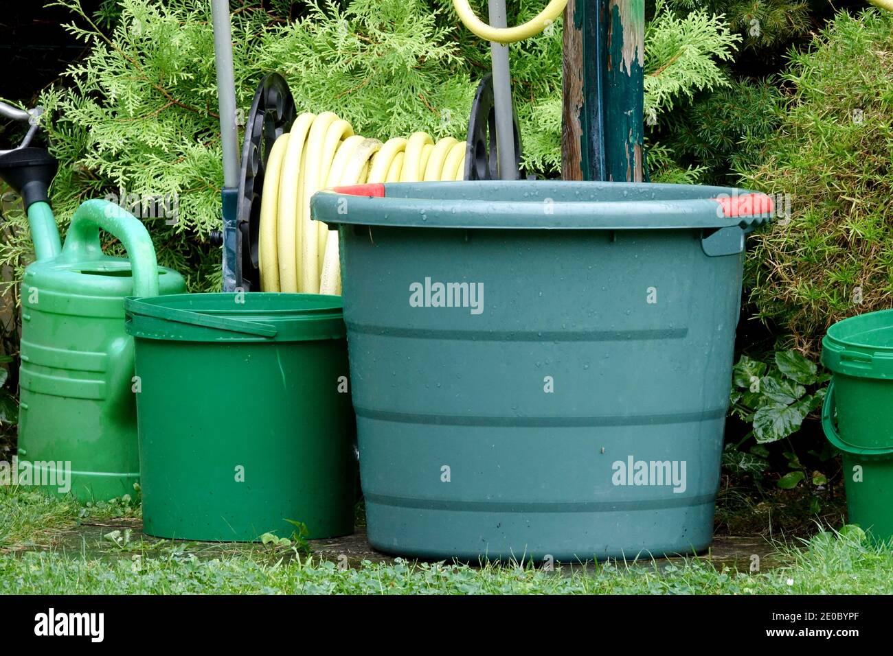 Kunststoffbehälter für den Wassergarten Stockfoto
