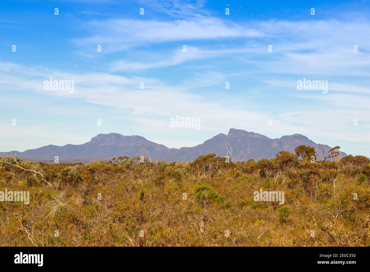 Die wunderschöne Landschaft im Stirling Range Nationalpark nördlich von Albany im Südwesten Australiens Stockfoto