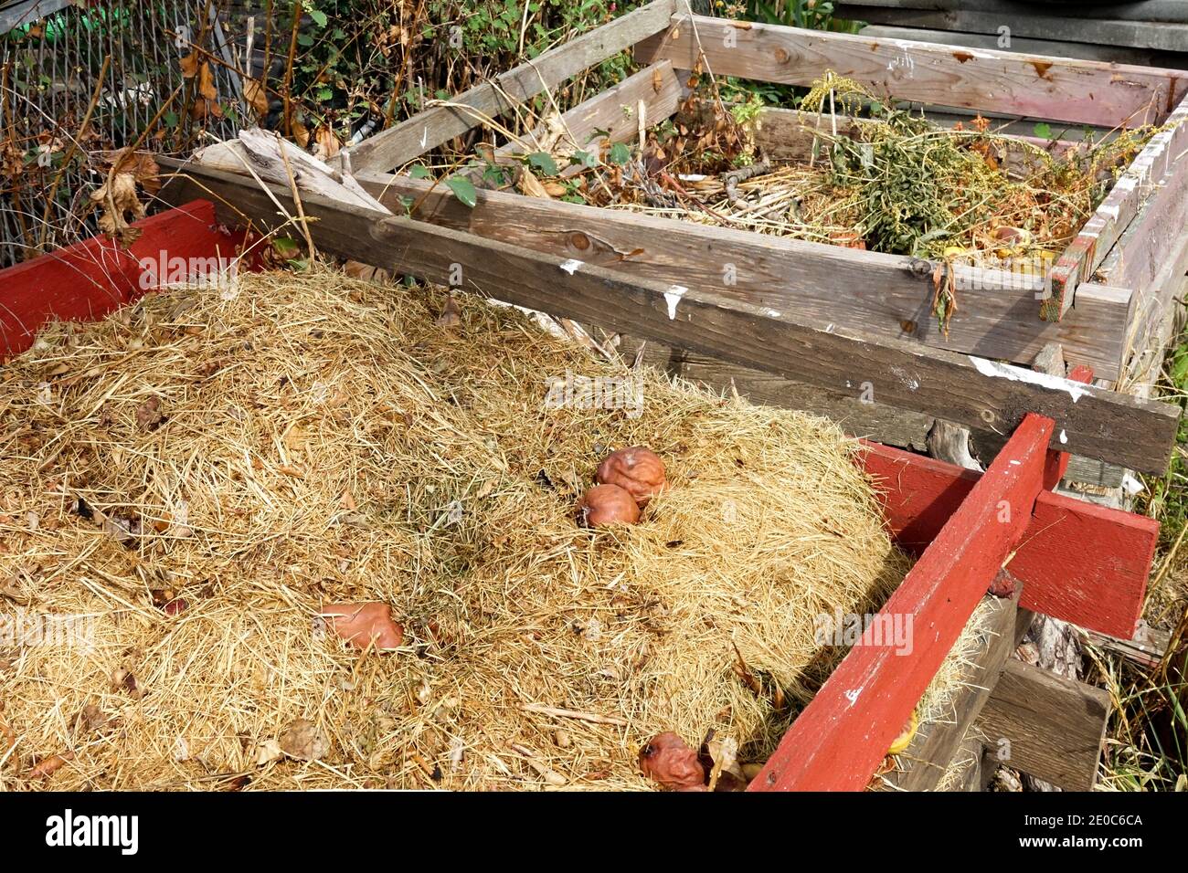 Kompostierung von Gras im Garteneimer, Komposter, organischen Substanzen, Biologisches Verfahren Stockfoto