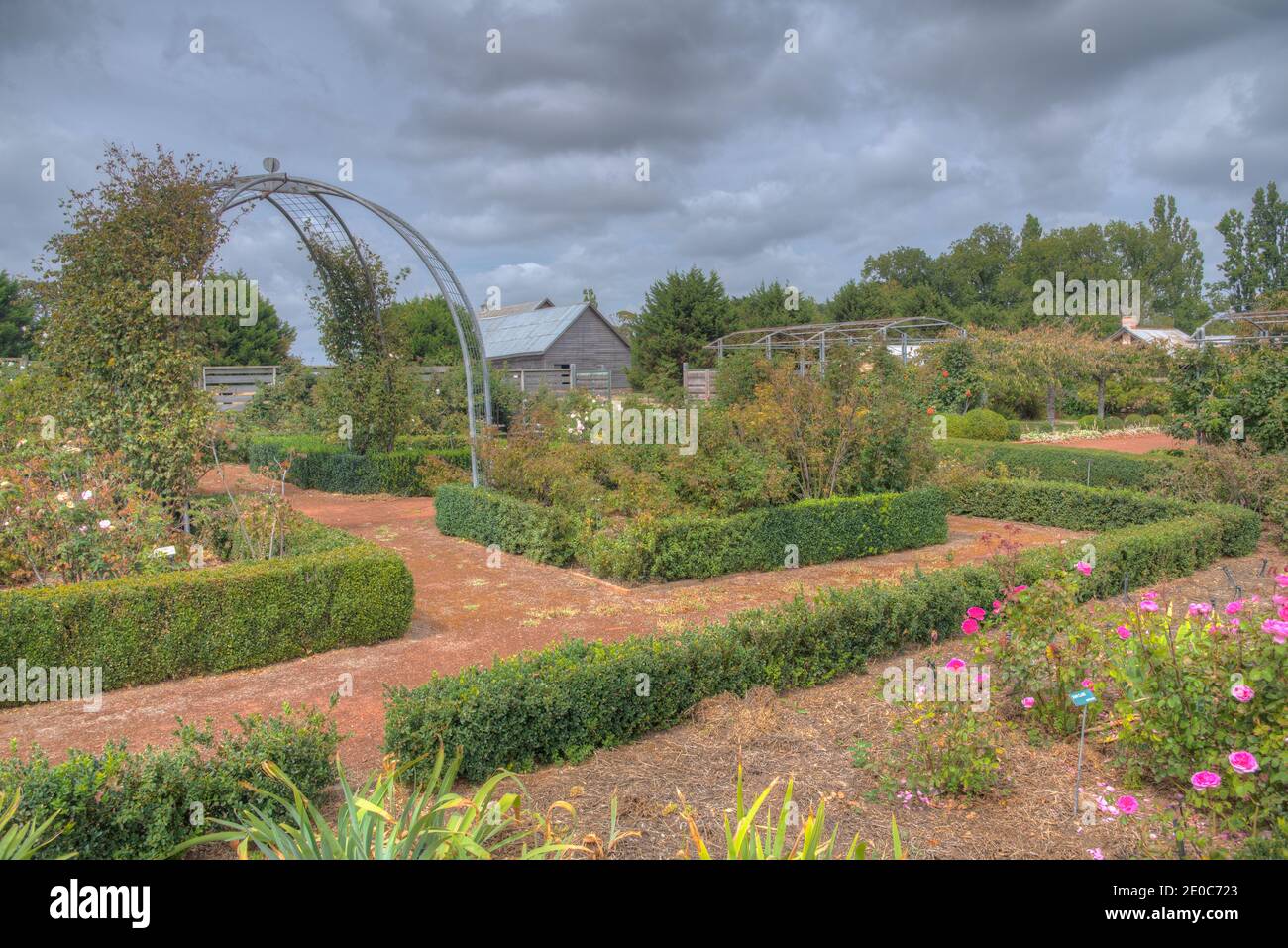 Rosengarten auf dem Woolmers Anwesen in Tasmanien, Australien Stockfoto