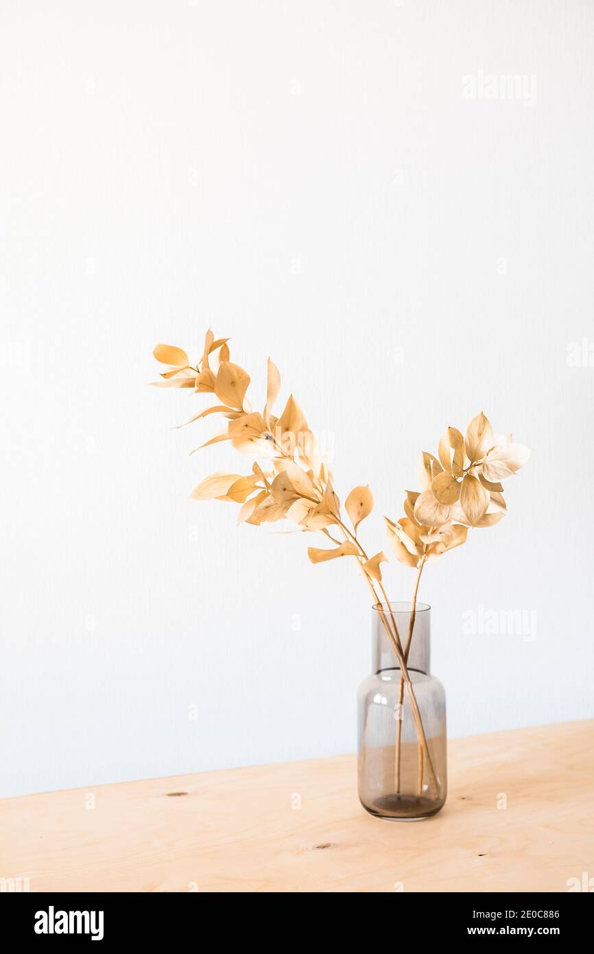 Getrocknete Blumen in einer Glasvase mit leerem Licht Wand für minimalistische Einrichtung Stockfoto