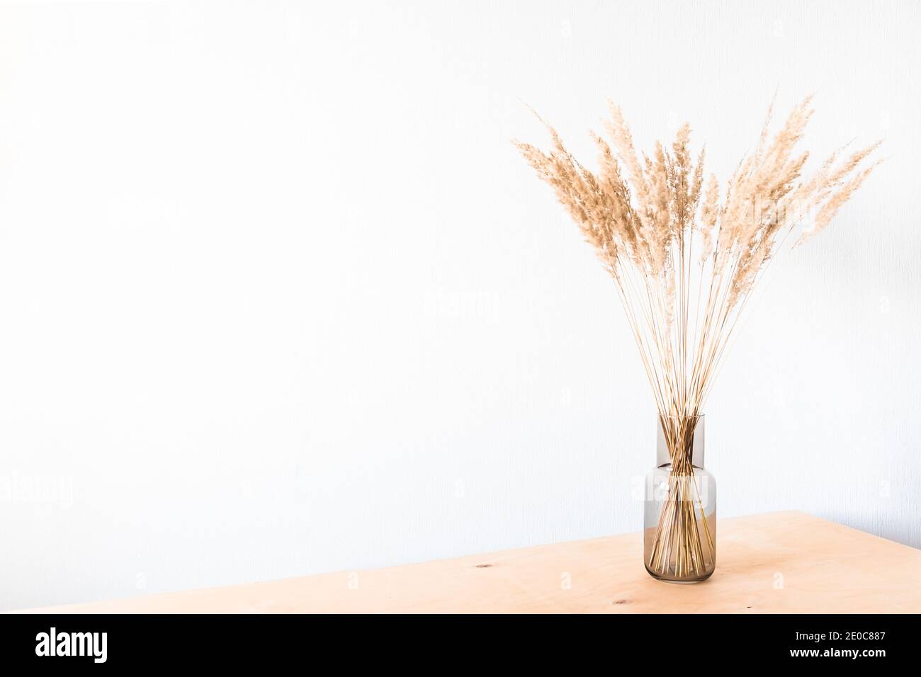 Getrocknete Blumen in einer Glasvase mit leerem Licht Wand für minimalistische Einrichtung Stockfoto