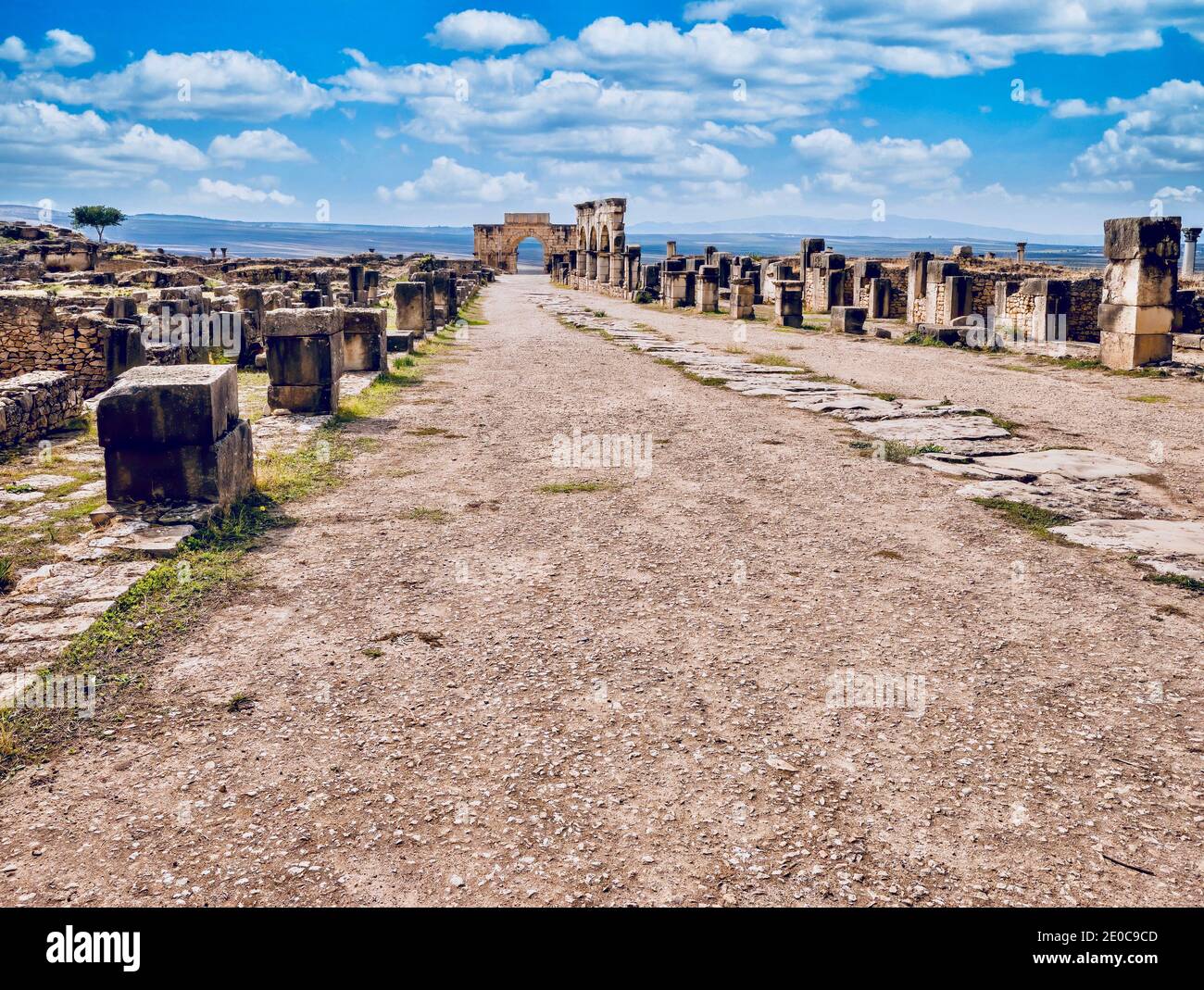 Eine Straße, die zu einem Triumphbogen aus dem 3. Jahrhundert führt, führt durch die Ruinen der antiken römischen Stadt Volubilis in Marokko. Stockfoto