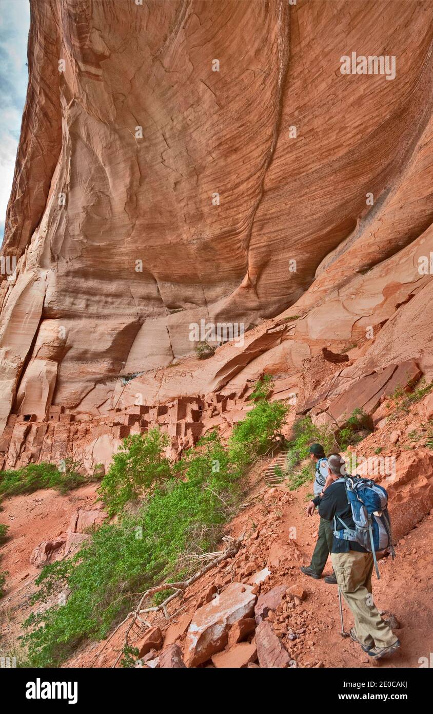 Parkranger und Besucher auf Betatakin Ruine im Tsegi Canyon, Navajo National Monument, Shonto Plateau, Arizona, USA Stockfoto