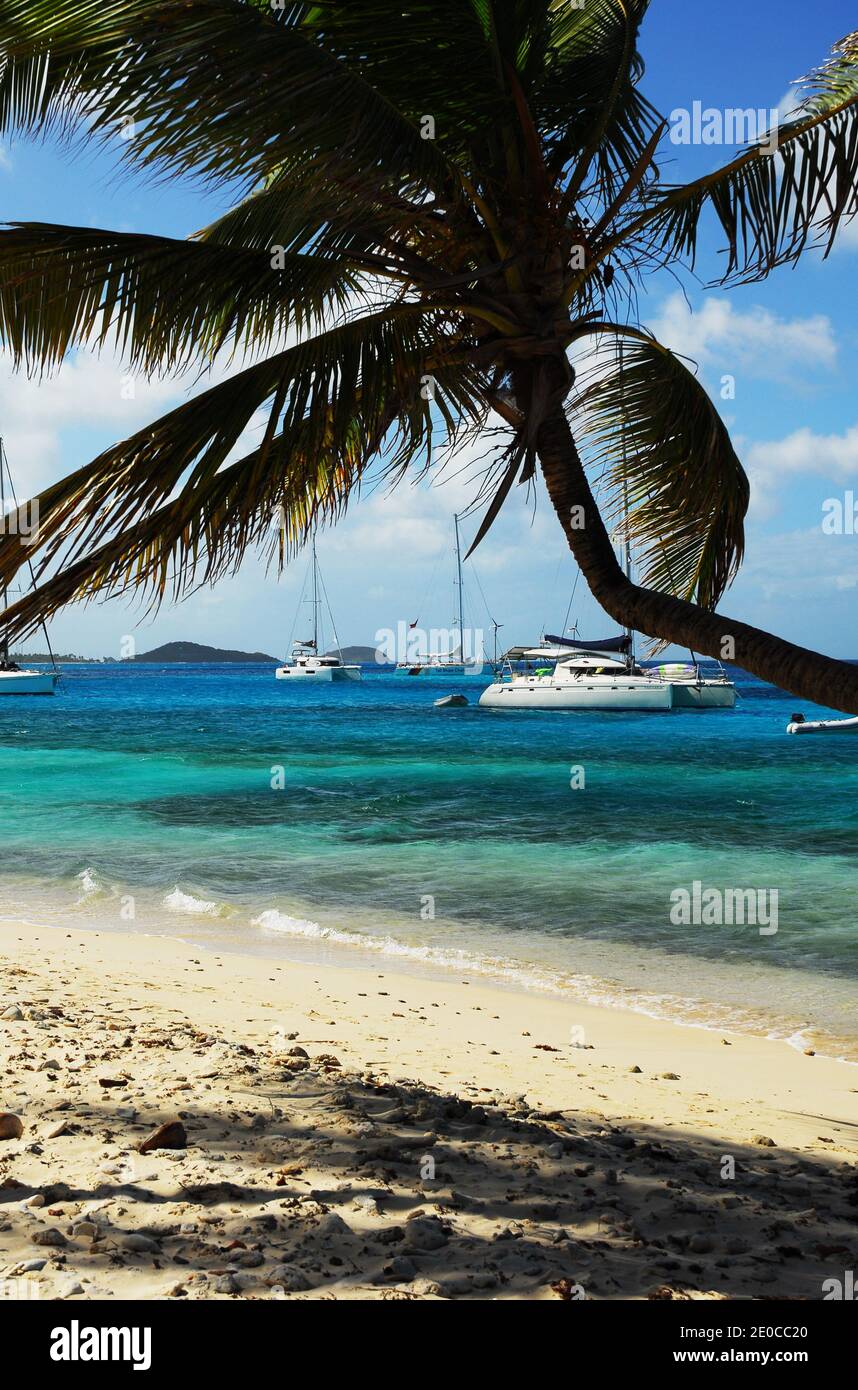 Karibik: Windward Islands: St. Vincent und die Grenadinen: Union Island: Clifton Stockfoto