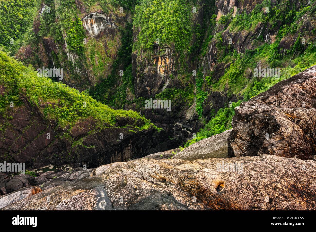 Spektakuläre Tully Gorge in der Wet Tropics World Heritage Area von Queensland. Stockfoto