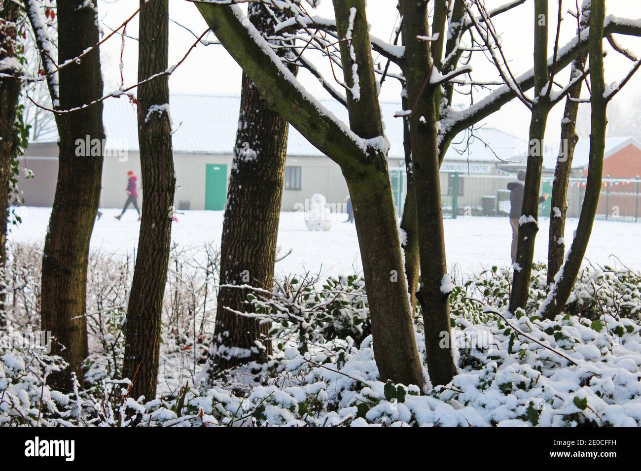 Schnee auf Büschen, Bäumen und Ästen im Park, schneebedeckt, Baumstämme, Schneemann, Winterschneetag in Manchester, England Stockfoto