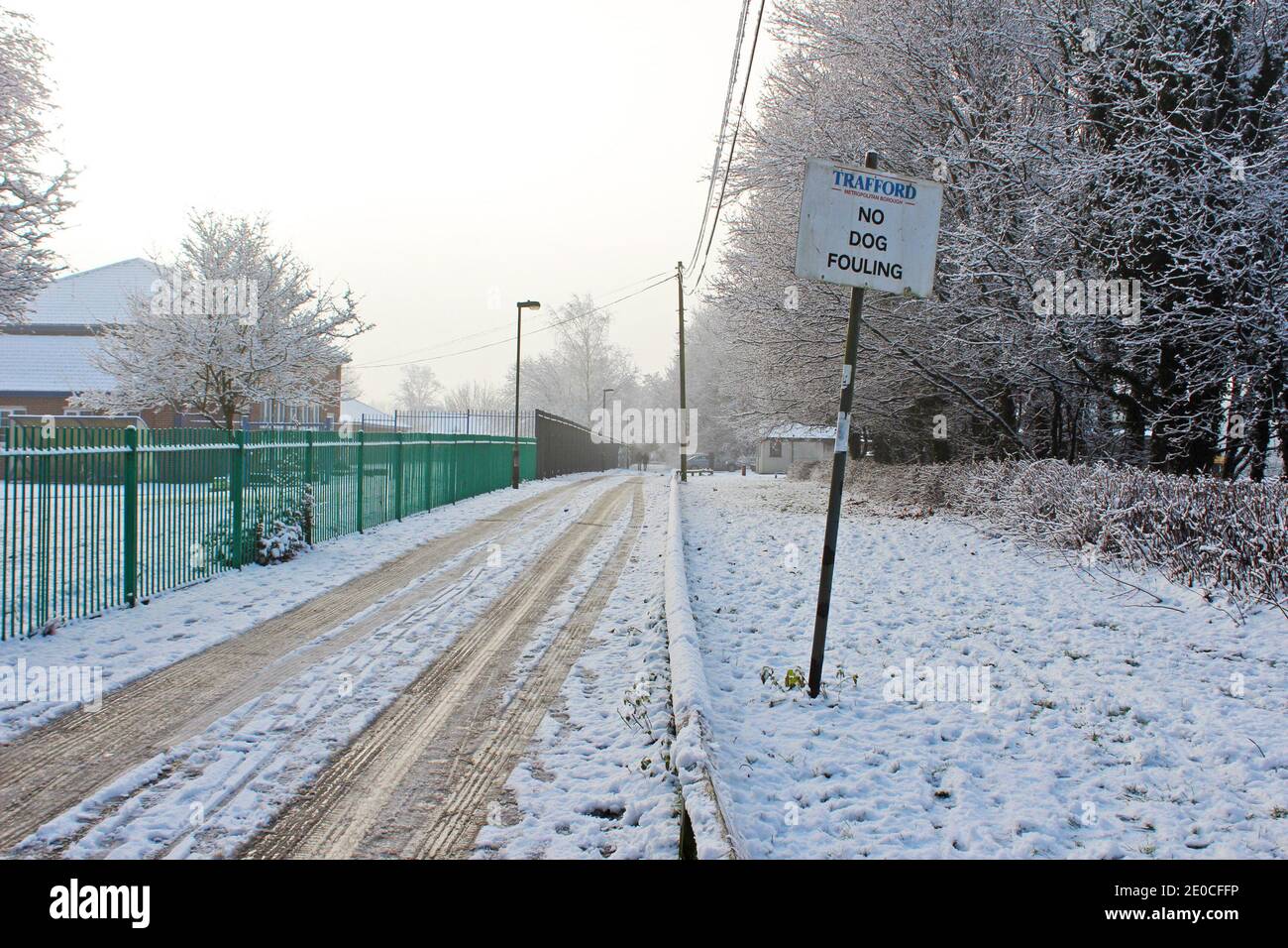 Schneebedeckte Straße und Park, Schnee auf, Reifenspuren durch Schnee, Schnee auf Bäumen am Wintertag in Manchester, England Stockfoto