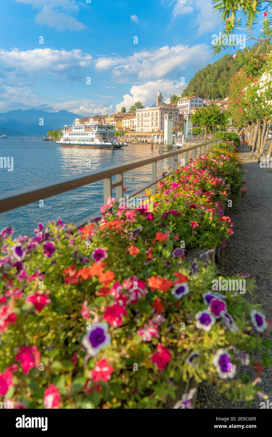 Blumen entlang der berühmten Promenade um Bellagio und Comer See bei Sonnenuntergang, Comer Provinz, Lombardei, Italienische Seen, Italien, Europa Stockfoto
