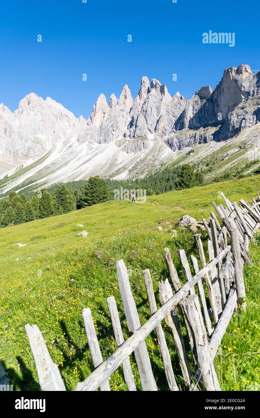 Holzzaun in den grünen Almen der Brogles Alm mit Geisler im Hintergrund, Val di Funes, Südtirol, Dolomiten, Italien, Europa Stockfoto