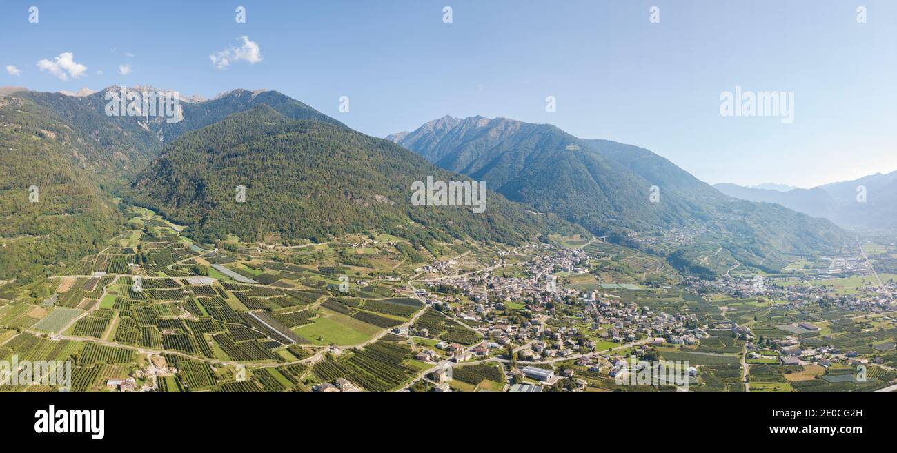 Luftpanorama von Apfelplantagen zwischen ländlichen Dörfern und Bergen, Valtellina, Provinz Sondrio, Lombardei, Italien, Europa Stockfoto