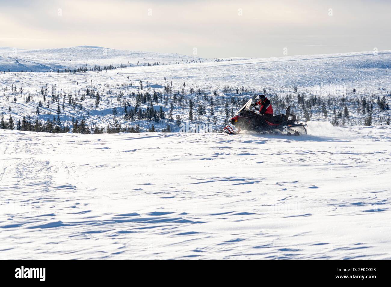 Mann, der eine Fahrt auf dem Schneemobil in der verschneiten Landschaft von Saariselka, Inari, Lappland, Finnland, Europa Stockfoto