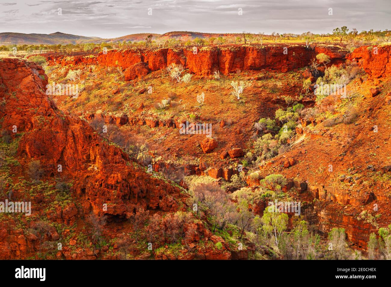 Glühend rote Wände der Dales Gorge im Karijini Nationalpark. Stockfoto